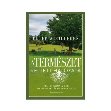 A természet rejtett hálózata