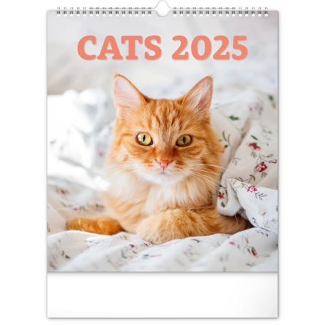 Cats falinaptár 2023 30x34