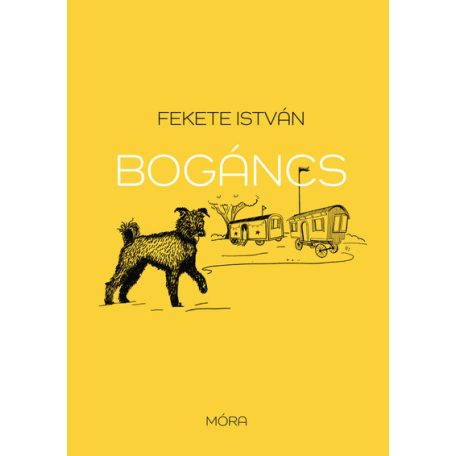 Bogáncs (puha, sárga)