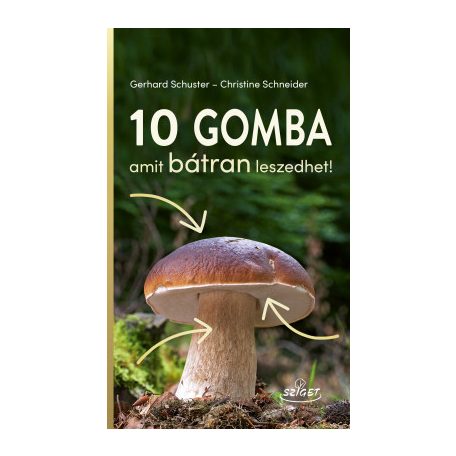 10 gomba, amit bátran leszedhet!