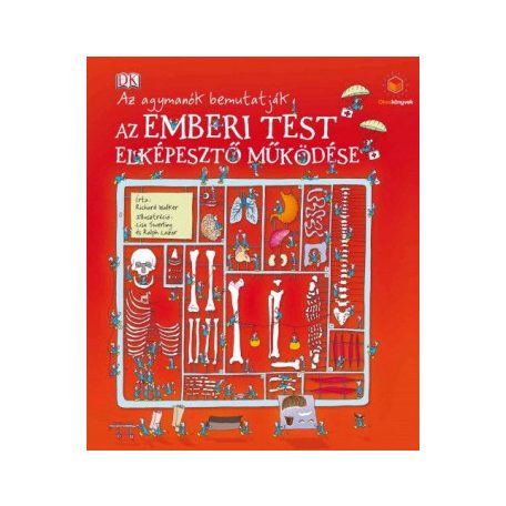 Az emberi test elképesztő működése