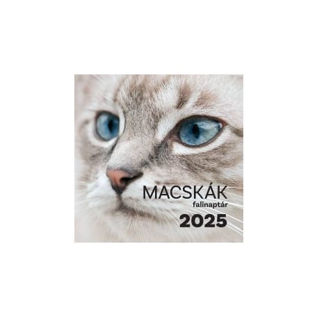 Cicák 2025 falinaptár