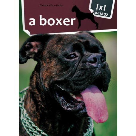 A boxer - 1x1 kutyakalauz