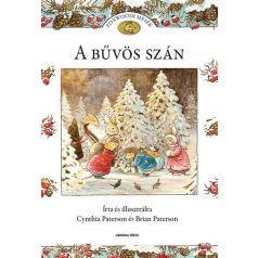 A bűvös szán
