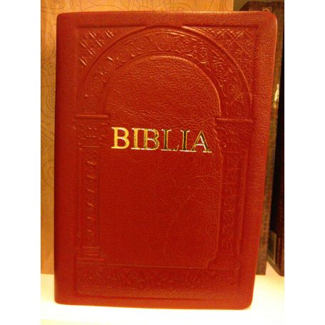 Biblia - bordó, aranycsikkal