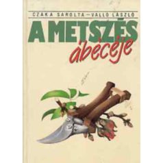 A metszés ábécéje