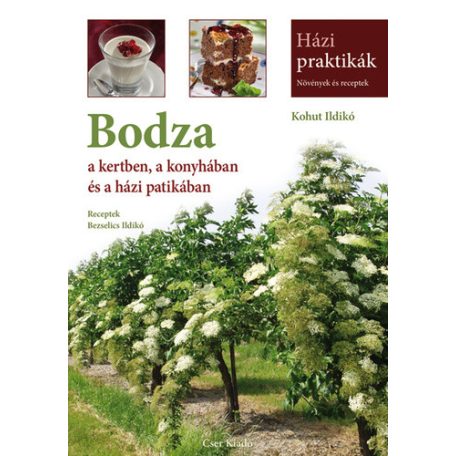 Bodza