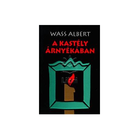 A kastély árnyékában kemény