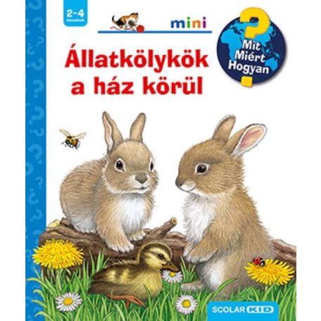 Állatkölykök - (Fedezzük...)
