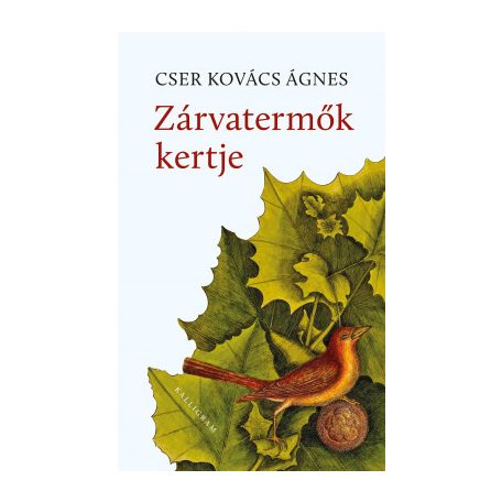 Zárvatermők kertje