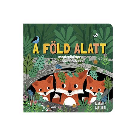 A Föld alatt - meglepikönyv