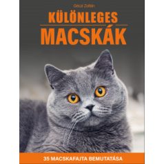 Különleges macskák - 35 macskafajta