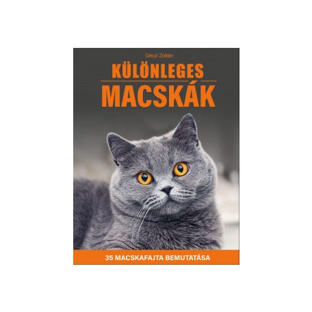 Különleges macskák - 35 macskafajta
