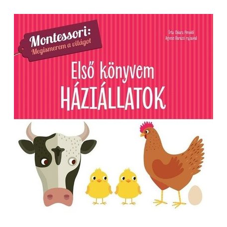 Háziállatok - első könyvem