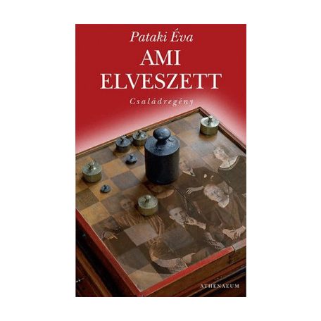 Ami elveszett - családregény