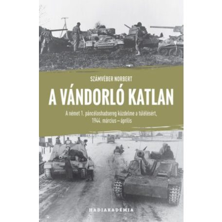 A vándorló katlan - A német 1. páncélosh