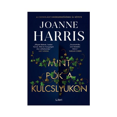 Mint pók a kulcslyukon