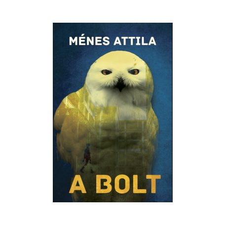 A bolt