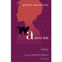 A Trevi - kút