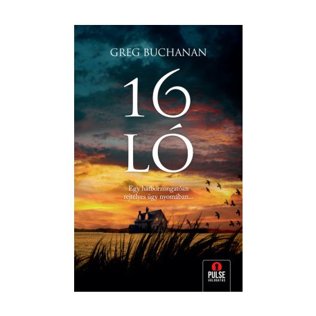 16 ló