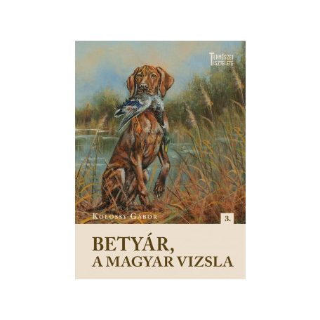 Betyár, a magyar vizsla