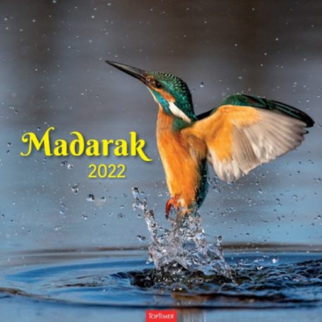 Madarak lemeznaptár