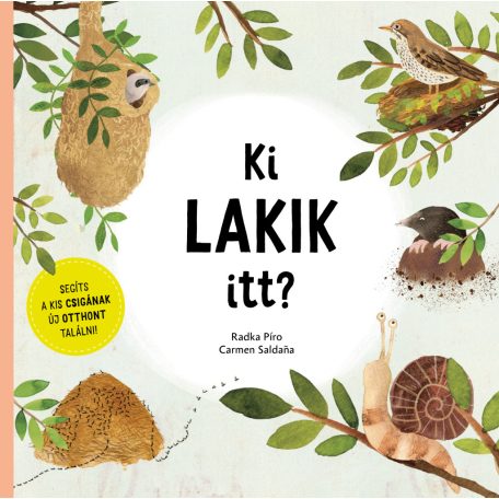 Ki lakik itt? - Simizd meg ezt a könyvet