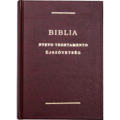 Biblia Cigány-magyar Újszövetség