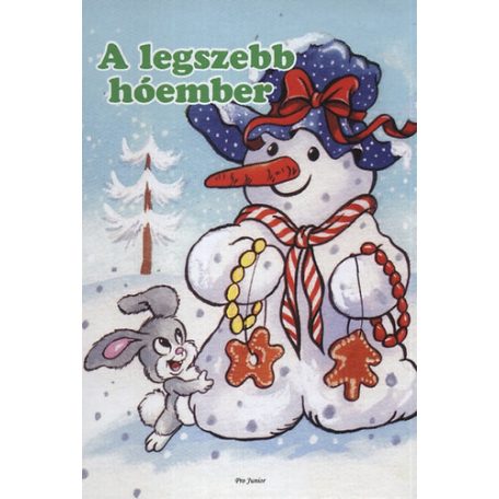 A legszebb hóember  (lepo)