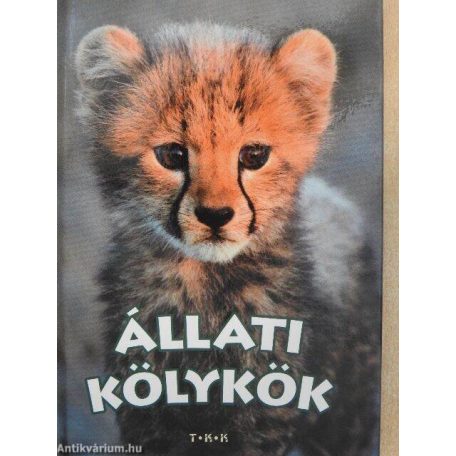 Állati kölykök
