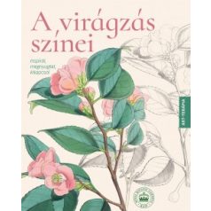 A virágzás színei