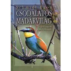 Csodálatos madárvilág