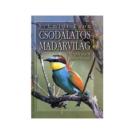 Csodálatos madárvilág
