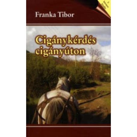 Cigánykérdés - Cigányúton