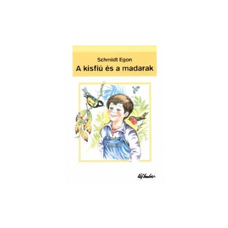 A kisfiú és a madarak (A)
