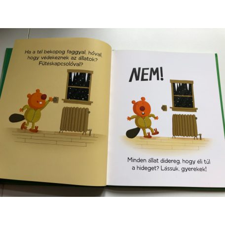 LEM 0161-2/ Verkli (kicsi)