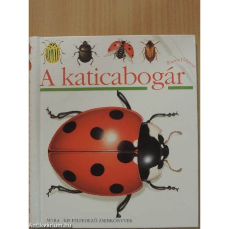 LEM 0191/ Katicabogár