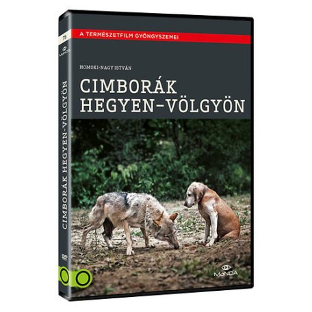 Cimborák hegyen-völgyön