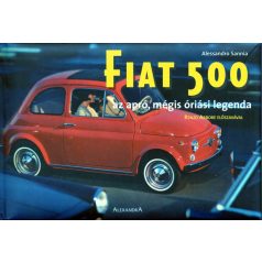 AUT 0606-11/ Fiat500 kisautó