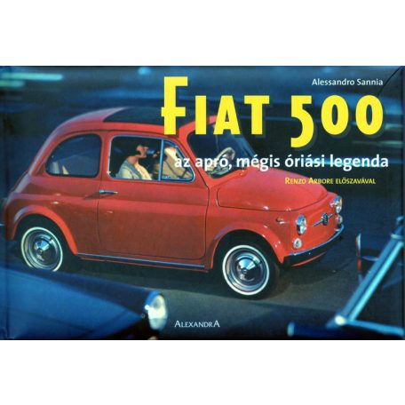 AUT 0606-11/ Fiat500 kisautó