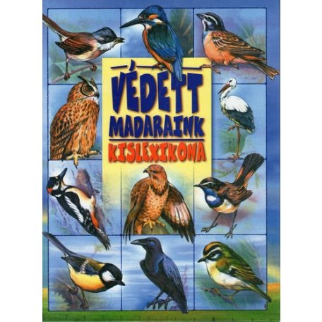 Faliposzter - Védett madaraink