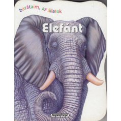 Barátaim, az állatok-elefánt