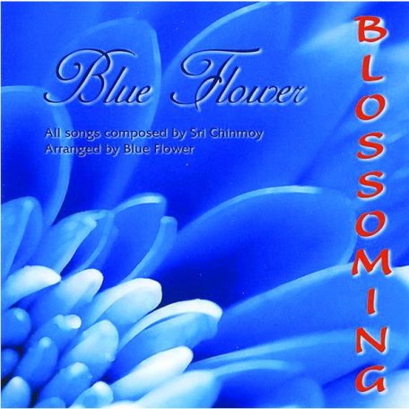 Blue Flower-Blossoming - CD