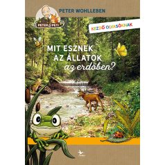Állatok az erdőben