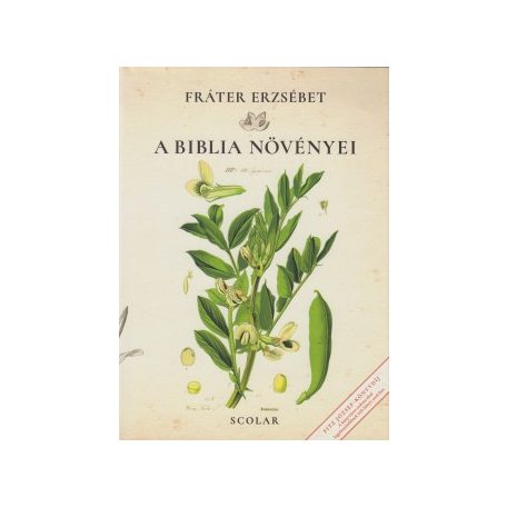 A biblia növényei