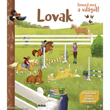 DOB 0216/ Lovak - kis ajándékdoboz