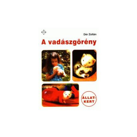 A vadászgörény (A)